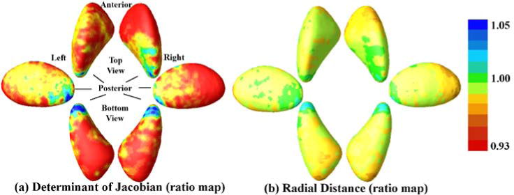 Fig. 5