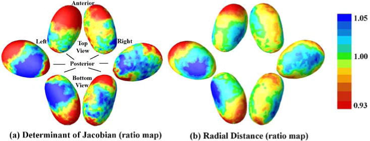 Fig. 4