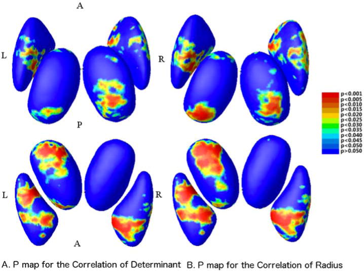 Fig. 8