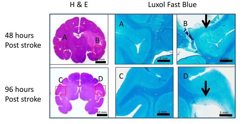 Fig. (5)