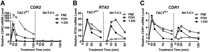 FIG 2