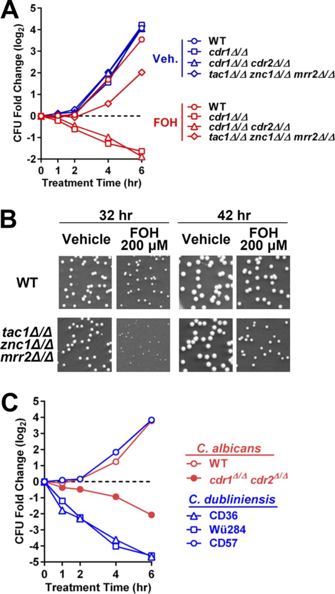 FIG 10