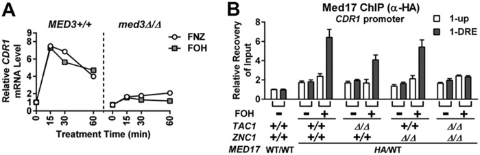 FIG 6