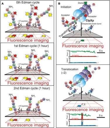 Fig. 4