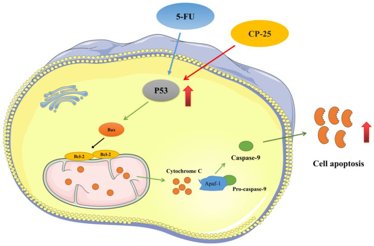 Fig 8