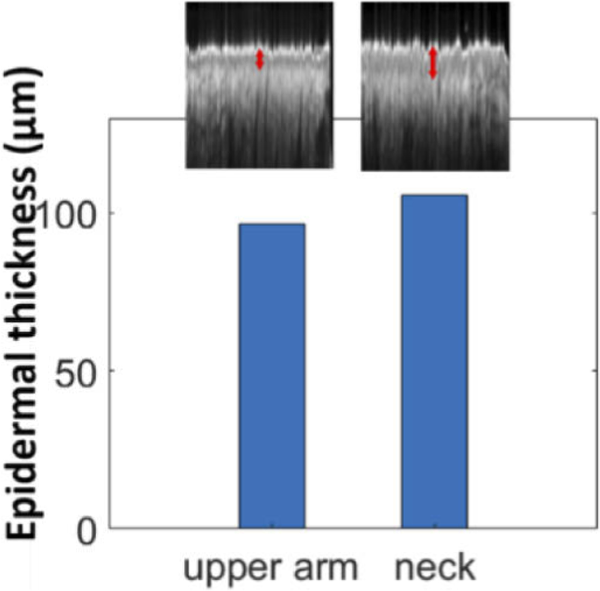 Fig. 9.