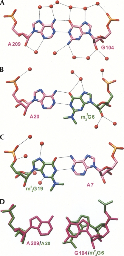 FIGURE 4.