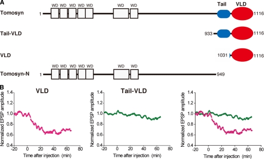 FIGURE 1.