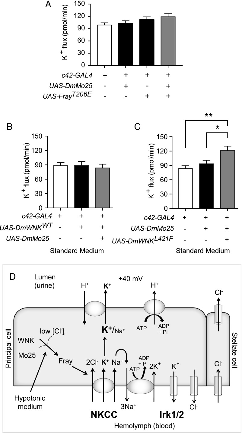 Figure 6.