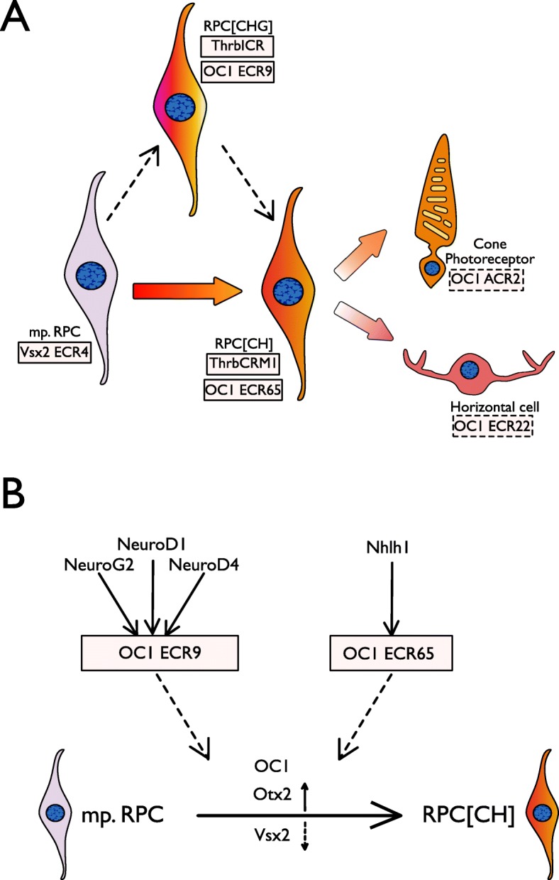 Fig. 8