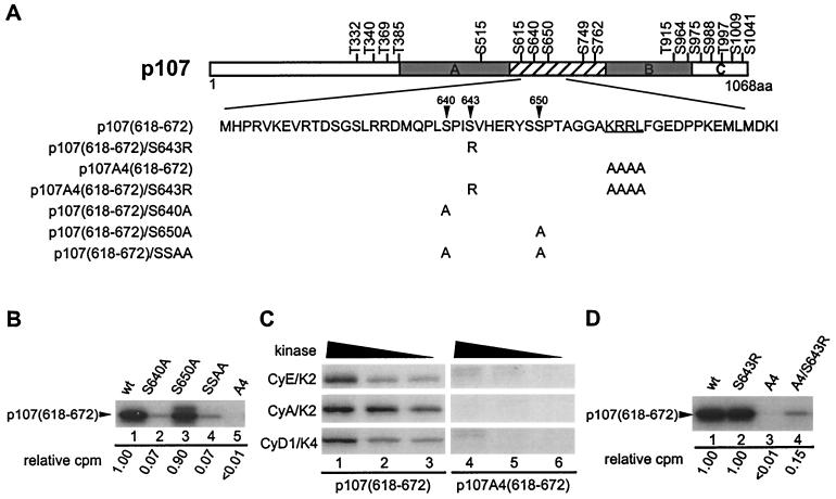 FIG. 8.