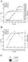 FIG. 2.