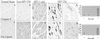 Fig 2.