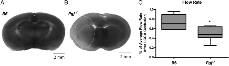 Figure 7