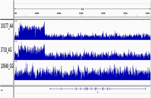 Fig. 3