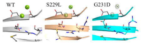 graphic file with name nihms869233u1.jpg