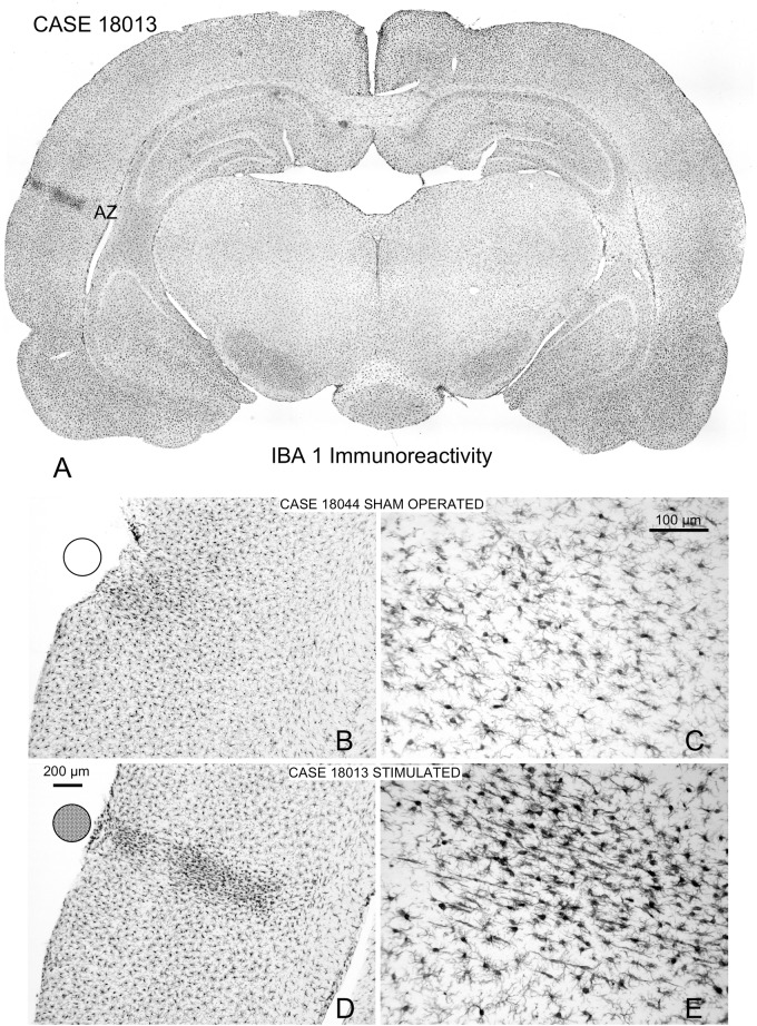 FIGURE 11