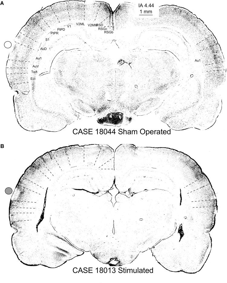 FIGURE 13