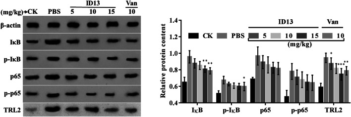 Fig. 6