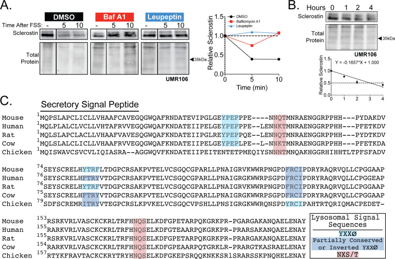 Figure 3—figure supplement 1.