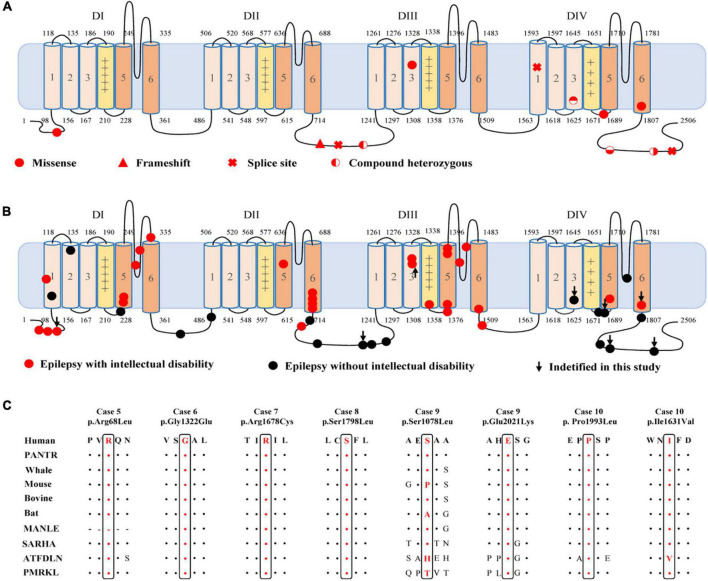 FIGURE 2