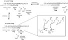 Figure 12.