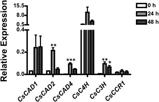 Figure 6.