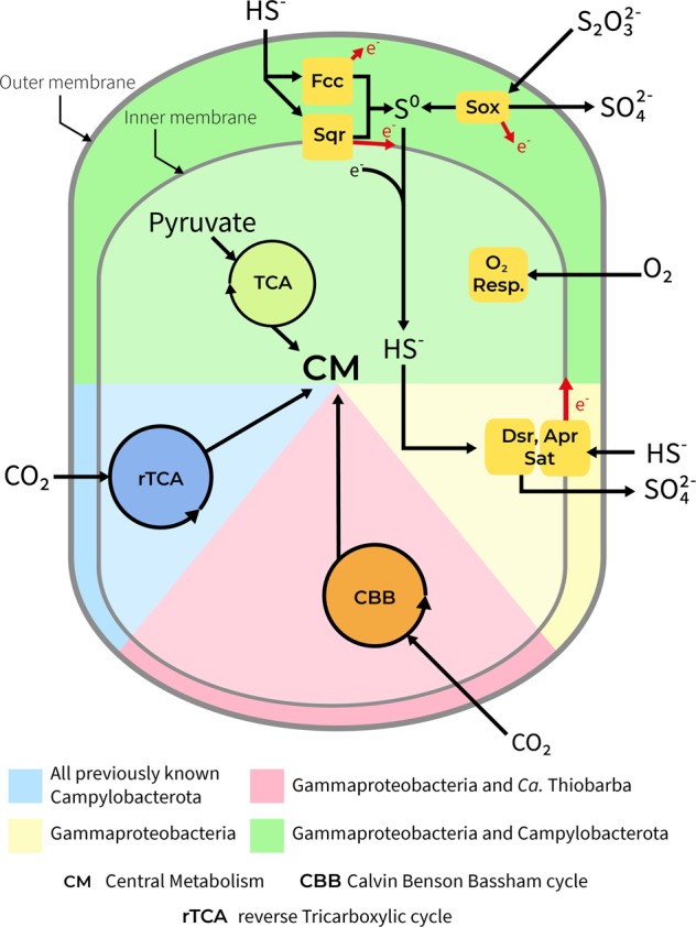 Fig. 2