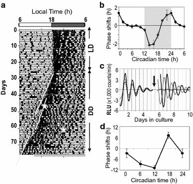 Fig. 1