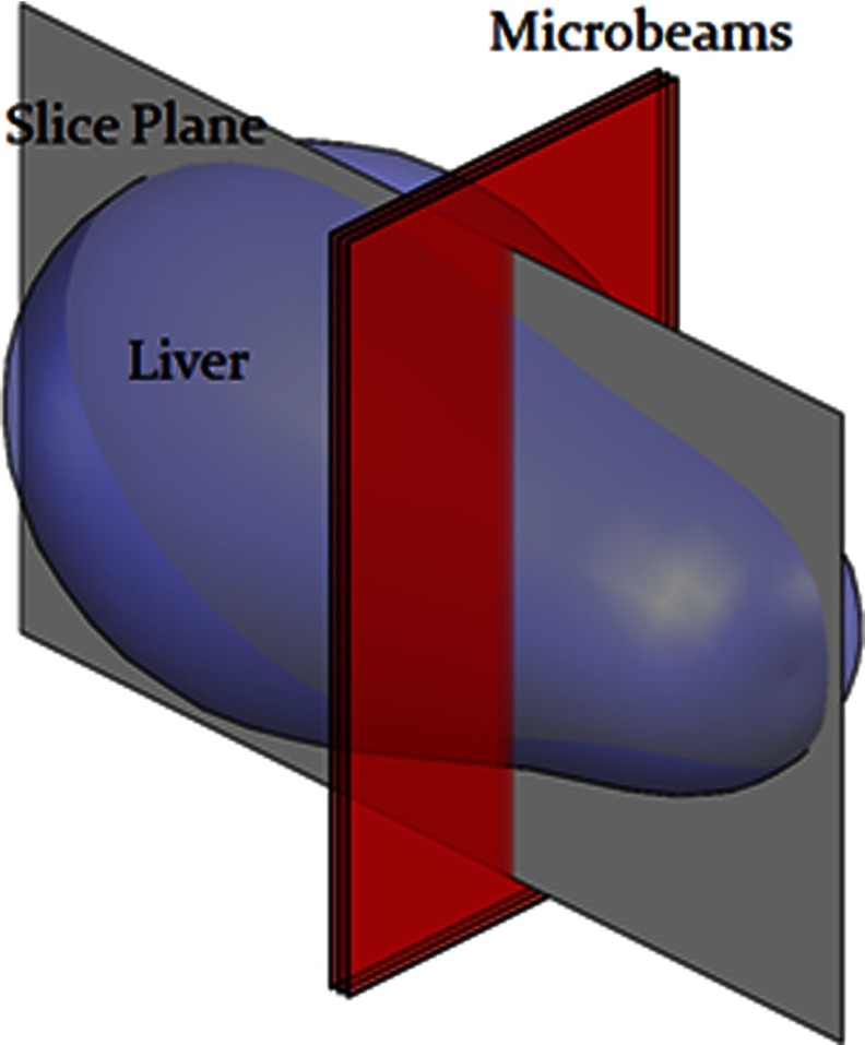 FIG. 5.