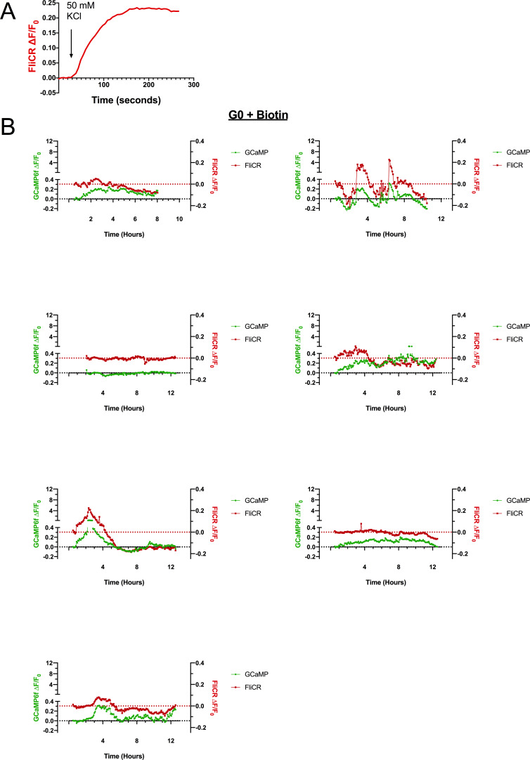 Figure 6—figure supplement 2.