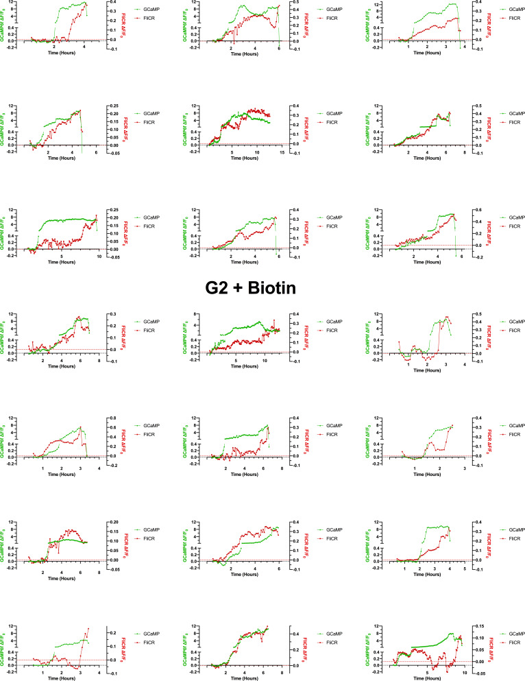 Figure 6—figure supplement 3.