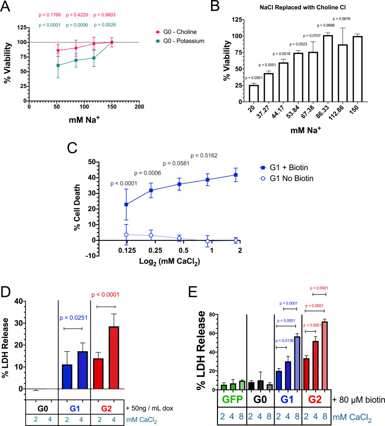 Figure 6—figure supplement 1.