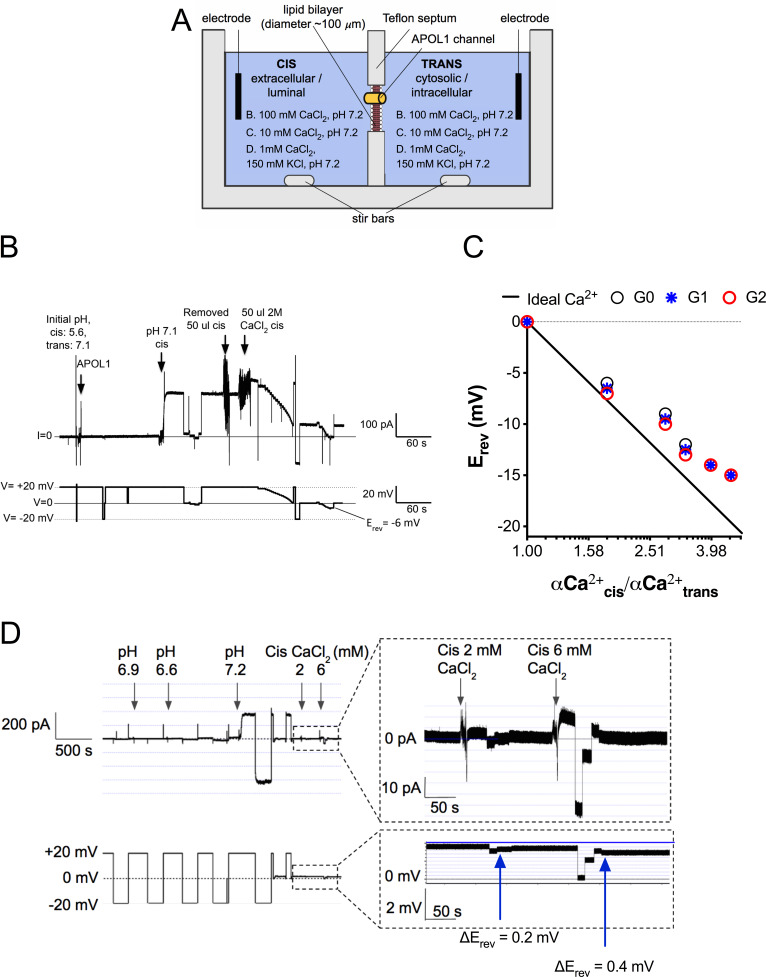 Figure 2.