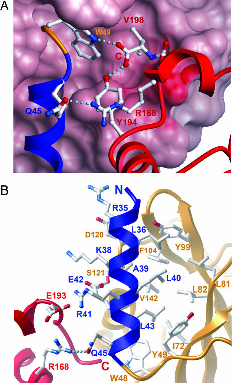 Fig. 4.