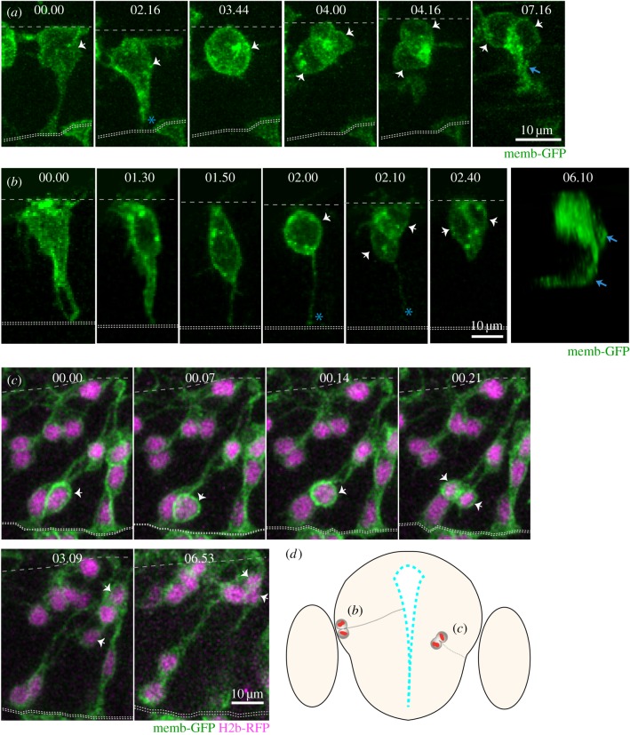 Figure 6.