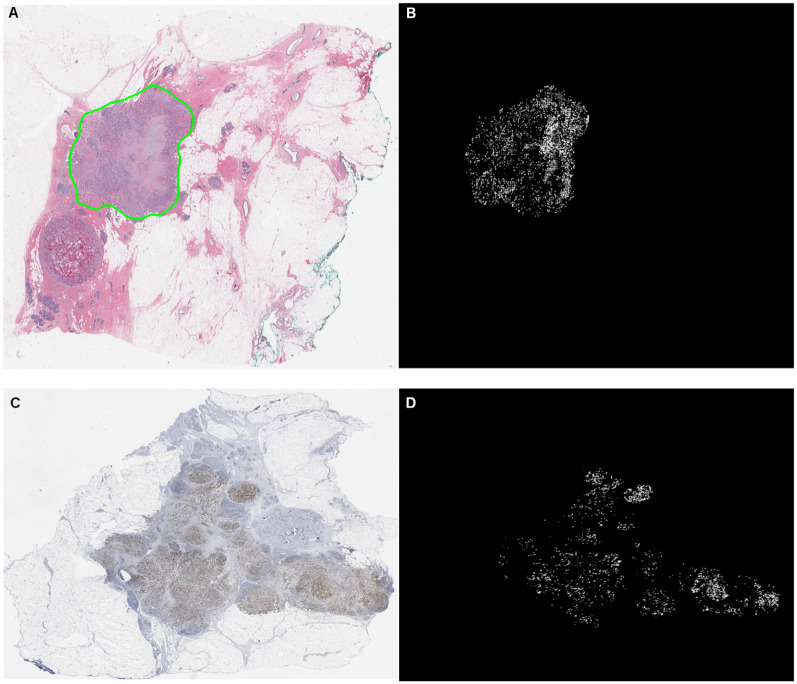 Fig 10