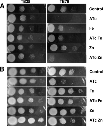 FIG. 3.