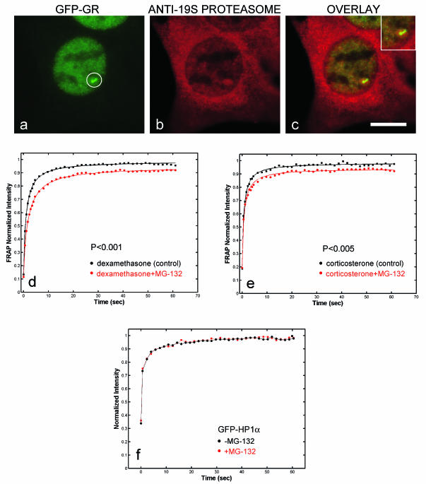 FIG. 7.