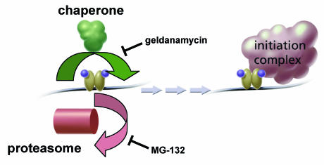 FIG. 10.