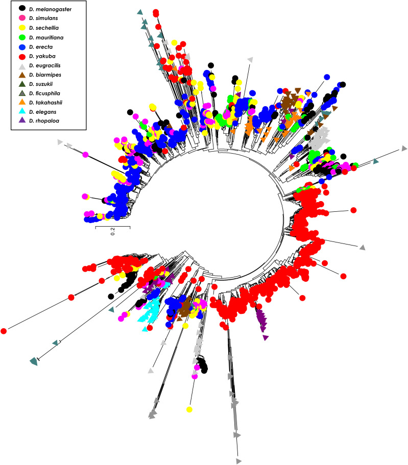 Figure 7