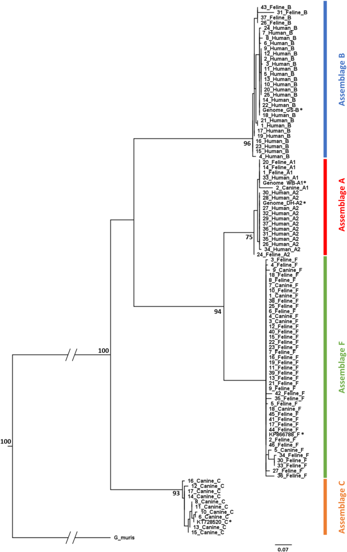 Fig. 3