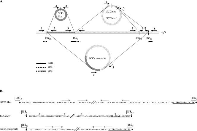 FIG. 2.