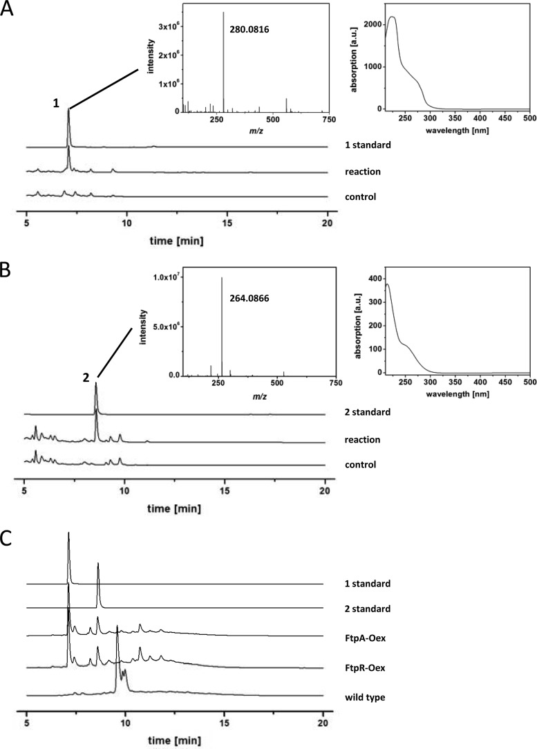 FIG 3