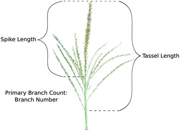 Fig. 1