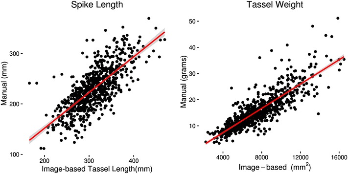 Fig. 6