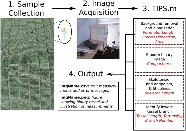 Fig. 2