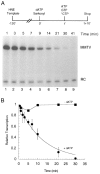 FIG. 5