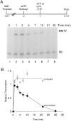 FIG. 4