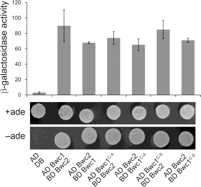 Fig 4.